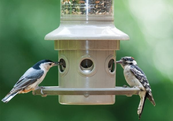 Eliminator Bird Feeder from Wild Birds Unlimited of Paramus
