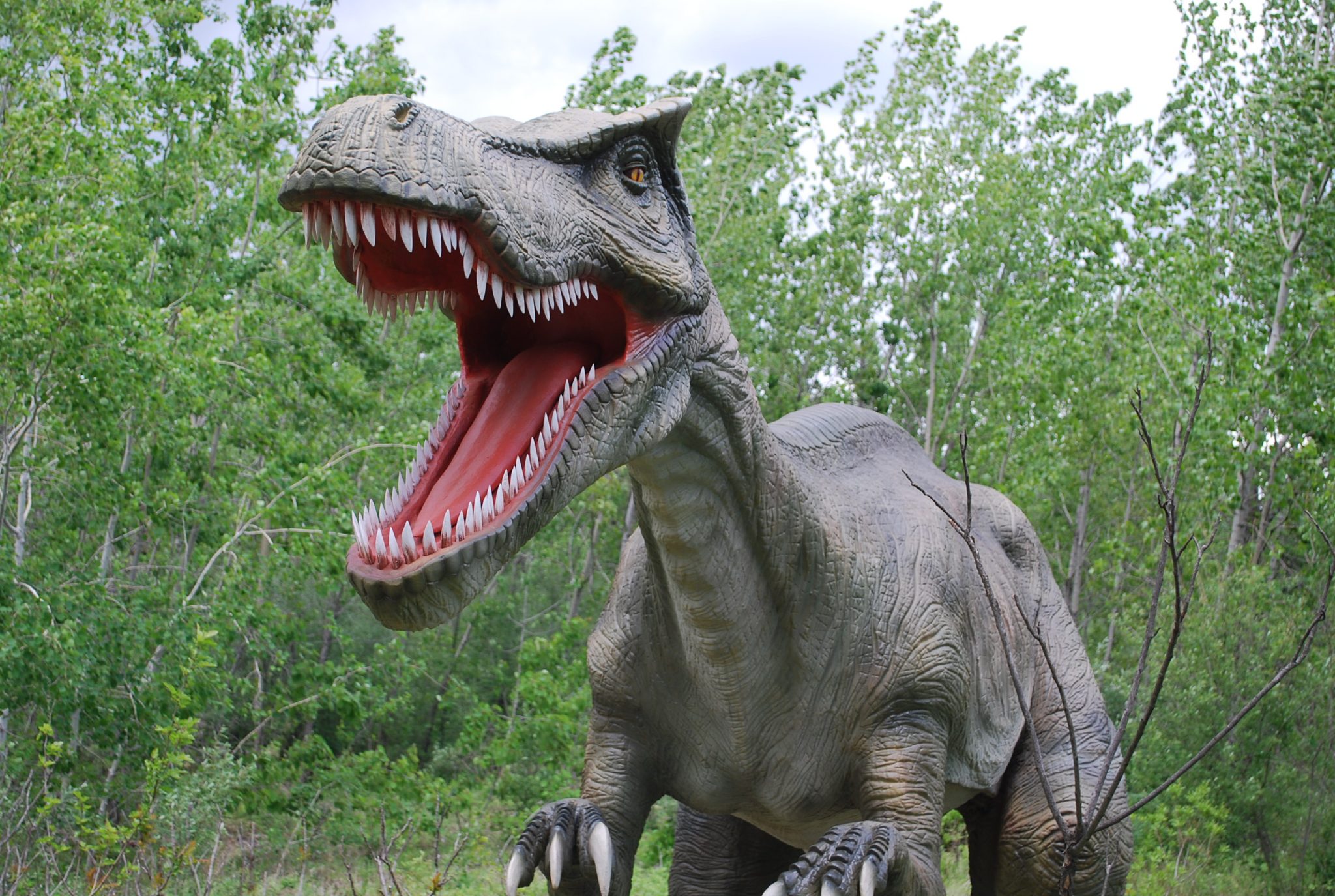 the field station dinosaurs