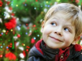 Free Holiday Reveal Party at Down to Earth Living