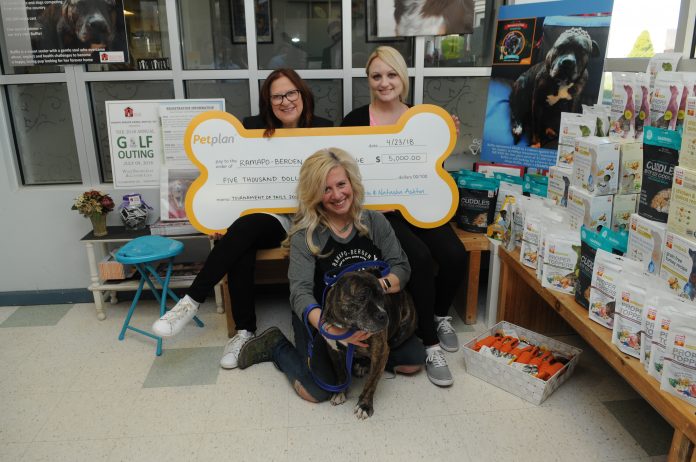 Petplan Pet Insurance News