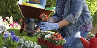 Bergen County Home Depot Spring 2018 News