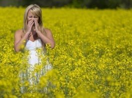 Is the Longer Allergy Season Getting to You? Consider Acupuncture as Treatment Option