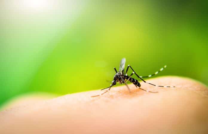 Bergen County Mosquito Population