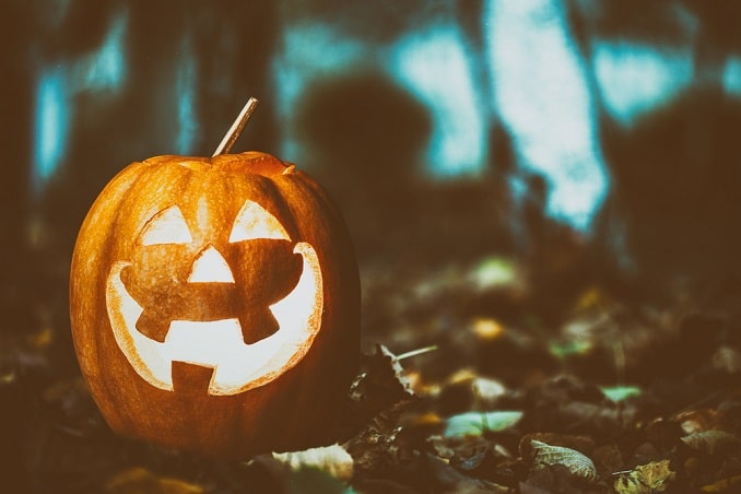 Spooky Storytime at Abma's Farm in Wyckoff. Get details on mybergen.com.