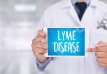 Lyme disease and children: What you should know about tick bites, Lyme disease symptoms and treatment. Read more on mybergen.com