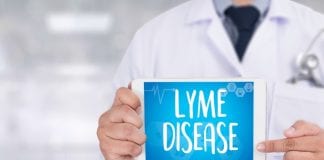 Lyme disease and children: What you should know about tick bites, Lyme disease symptoms and treatment. Read more on mybergen.com