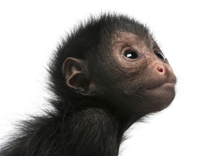 2020 Bergen County Zoo Events