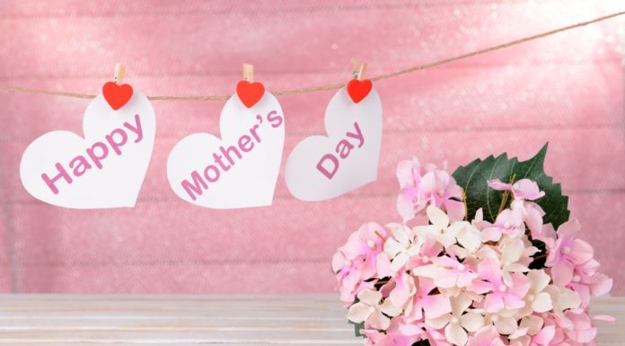 Mother's Day Ideas: Local Events, Gifts, Pampering for Mom Mybergen.com