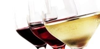 Demarest Farms Annual Summer Wine Festival. Get details on mybergen.com.