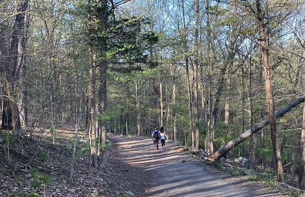 Ramapo Valley Reservation
