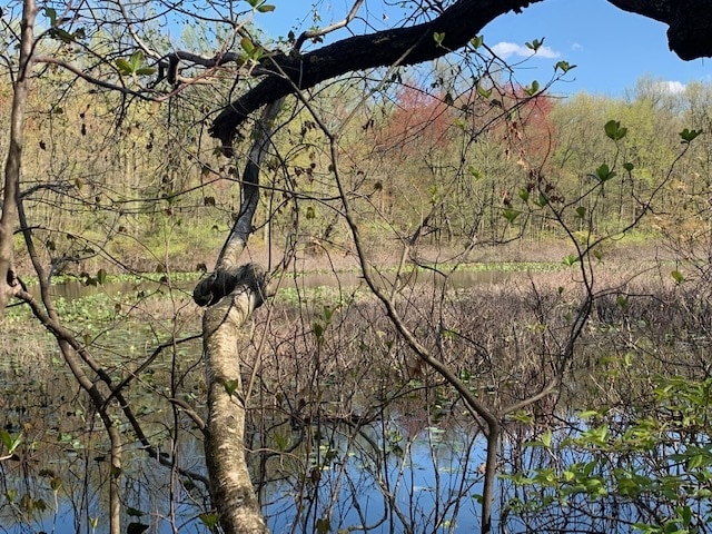 Teanfly Nature Center is featured in the mybergen.com list of places to go and things to do in Bergen County, NJ!