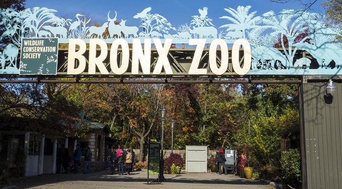 Bronx Zoo on mybergen.com