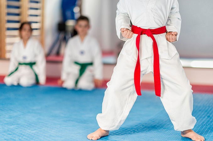 Sensory Tae-Kwon-Do, Bergenfield, NJ on mybergen.com Kids Party Directory