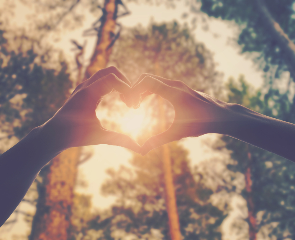 The Northern New Jersey Community Foundation's The DeAnna Stark Pasciuto Memorial Fund awarded a grant of $3,000 to Atlantic Visiting Nurse of Morristown, New Jersey to benefit Camp Clover. 