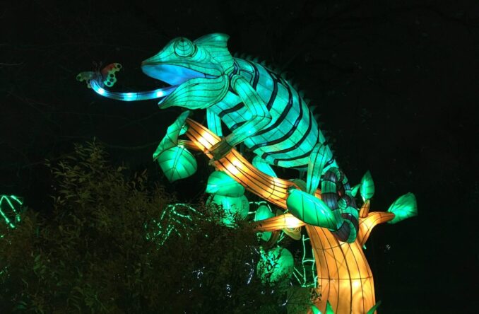 Let is Glow: A Holiday Lantern Spectacular at Bergen County Zoo