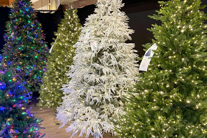 Holiday Open House at Down to Earth Living. Get details on mybergen.com.