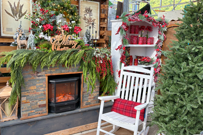 Beautiful Christmas trees and decor at Down to Earth Living. Visit mybergen.com for details.