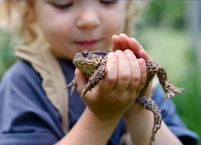 Kids parties at Tenafly Nature Center featured on mybergen.com.