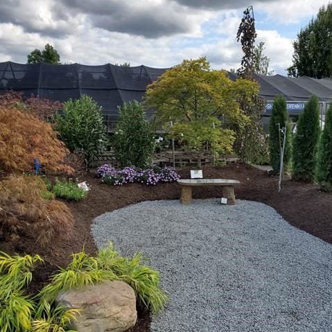 Importance of mulch in the garden