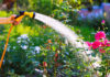 Summer Watering Tips for Healthy and Lush Gardens