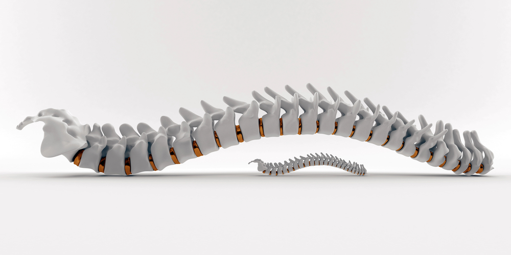 Bogota, Hackensack, Teaneck area chiropractor specializes in relieving your pain. Read about Dr. Michael J. Fitzgerald on mybergen.com.