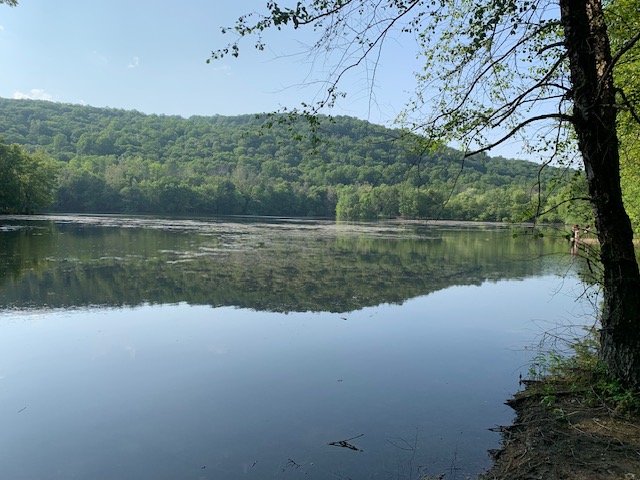 Nature walks and hiking in Bergen County! Mybergen.com.