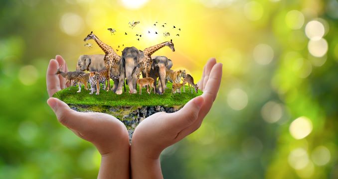 Party for the Planet at Bergen County Zoo 2025. Get details on mybergen.com.