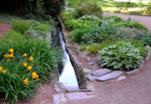 Why Proper Drainage is Essential to Your Landscape. Details on mybergen.com.