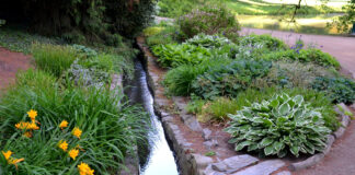 Why Proper Drainage is Essential to Your Landscape. Details on mybergen.com.