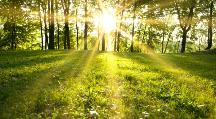 Where to hike in Bergen County.