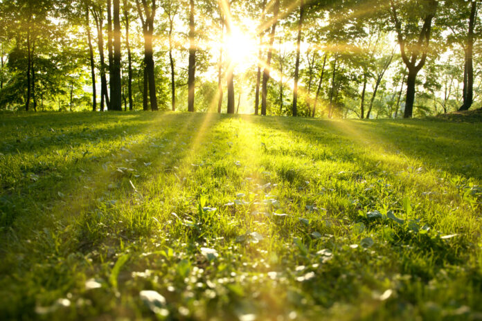 Where to hike in Bergen County.