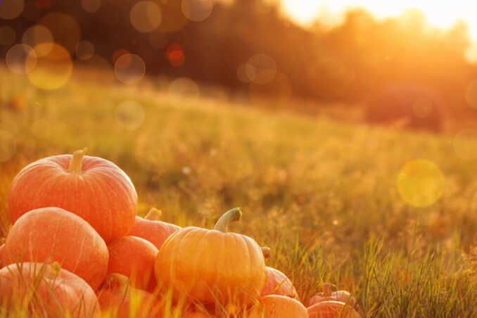 Harvest Homecoming at Historic New Bridge Landing. Get details on mybergen.com.