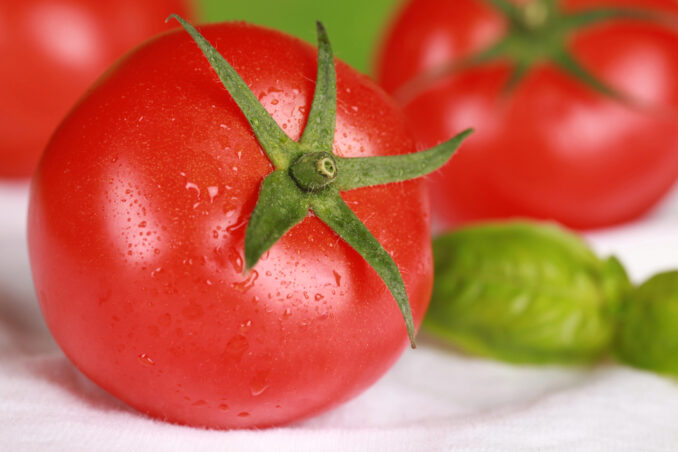 The New Jersey Tomato: From Cherry to Beefsteak at Mahwah Museum. Get details on mybergen.com.
