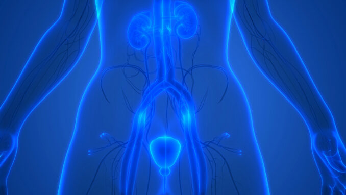urology at HUMC in Bergen County