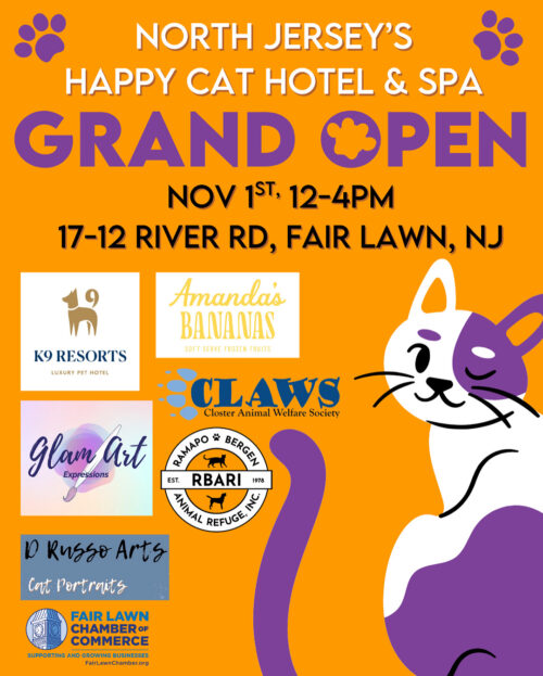 North Jersey’s Happy Cat Hotel & Spa – 1