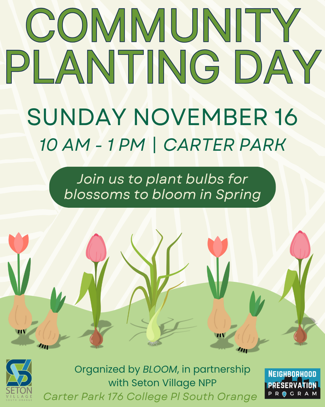 SV Community Planting Day 11.16.25