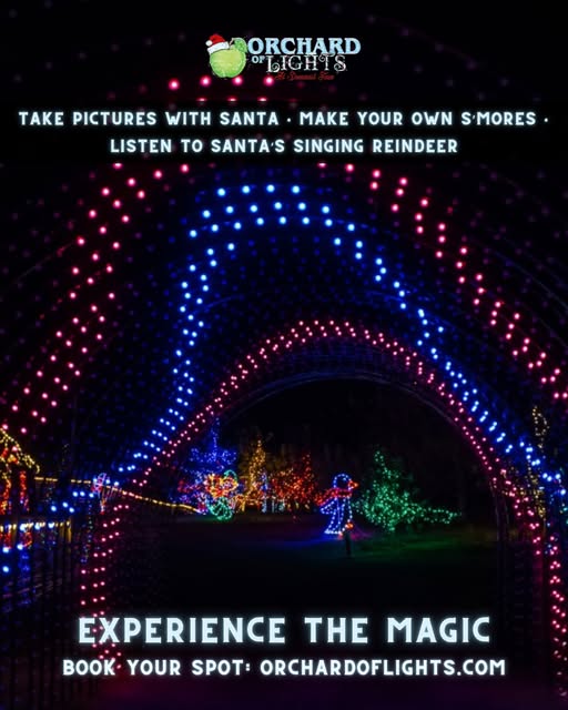 Orchard of Lights at Demarest Farms. Get details on mybergen.com.