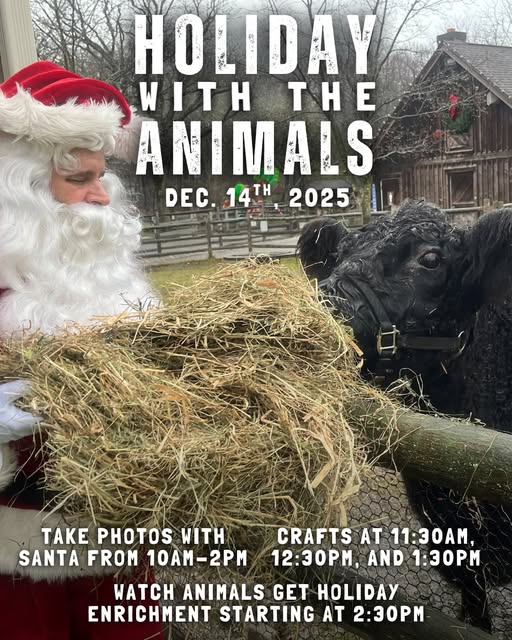 Holiday with the Animals at Bergen County Zoo