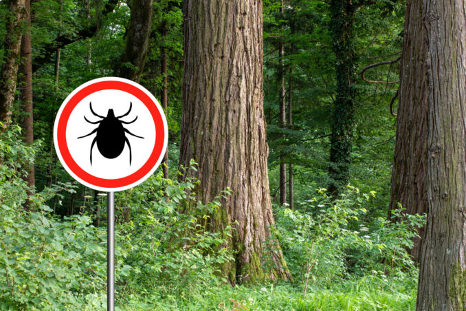 How to avoid ticks in Bergen County.