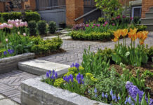 April is National Gardening Month: Get Your Garden Ready for Spring with These Simple Tips Tips to get your garden ready for spring in the Bergen County area.