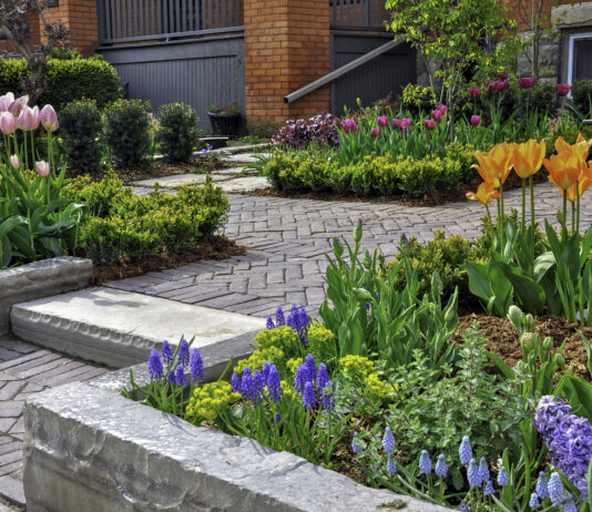 Tips to get your garden ready for spring in the Bergen County area.