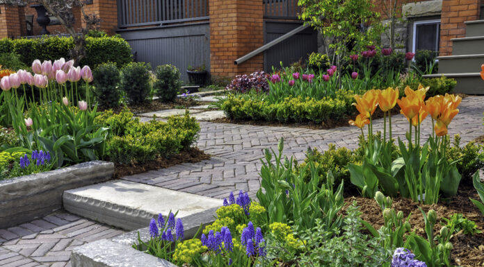 Tips to get your garden ready for spring in the Bergen County area.