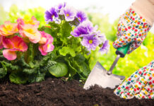 8 Things to Do in Your Garden Now for a Better Spring 8 Things to Do in Your Garden Now for a Better Spring