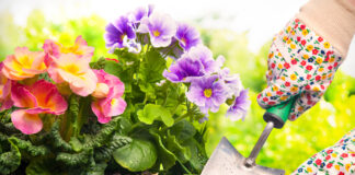 8 Things to Do in Your Garden Now for a Better Spring 8 Things to Do in Your Garden Now for a Better Spring