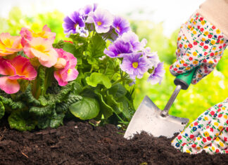 8 Things to Do in Your Garden Now for a Better Spring 8 Things to Do in Your Garden Now for a Better Spring
