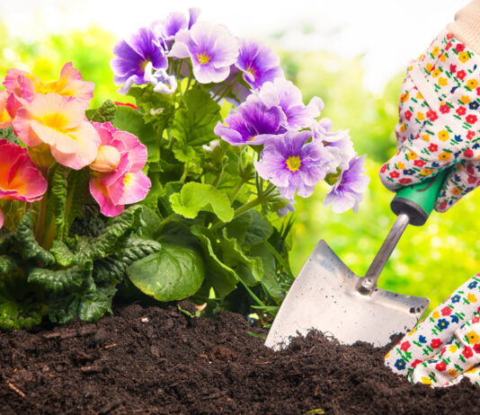 8 Things to Do in Your Garden Now for a Better Spring