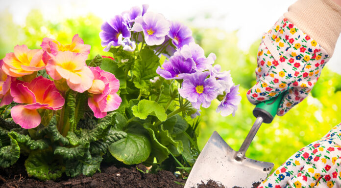 8 Things to Do in Your Garden Now for a Better Spring 8 Things to Do in Your Garden Now for a Better Spring