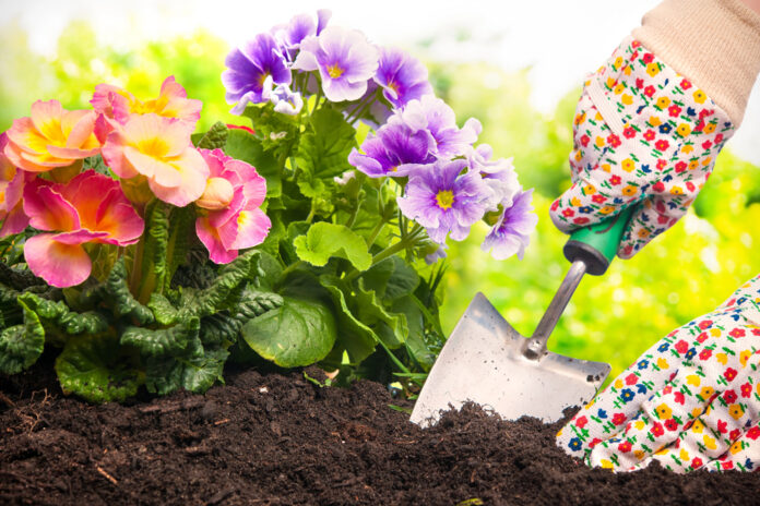 Bergen County area garden news 8 Things to Do in Your Garden Now for a Better Spring