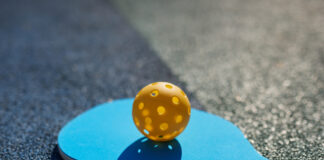 Bergen County Pickleball!